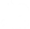Gut Health
